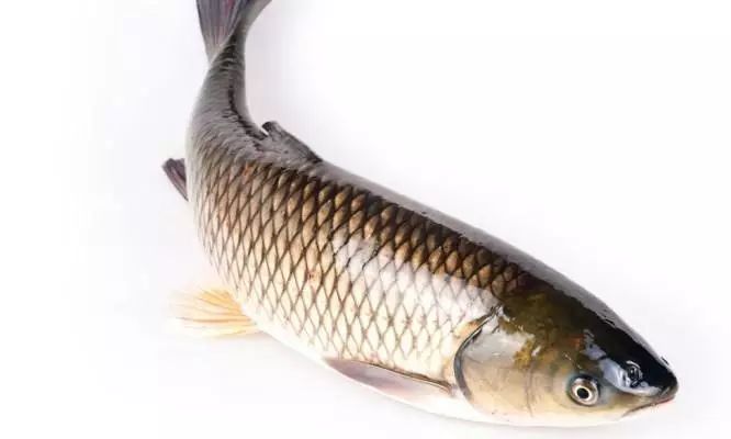 硒元素痛风病人可以补吗(痛风能补硒吗)-硒宝网