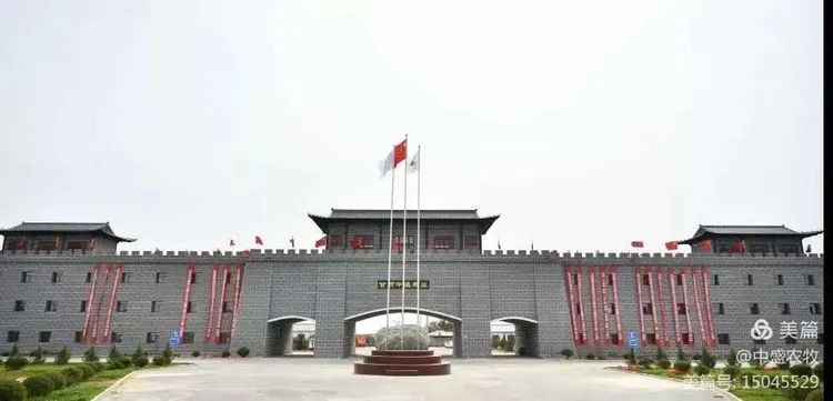 给小羊羔补硒吃什么最好(羊羔补硒的正确方法和时间)-硒宝网