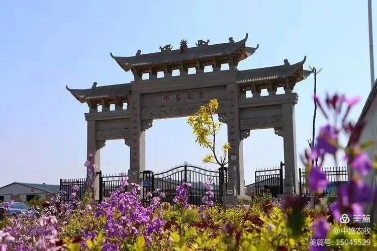 给小羊羔补硒吃什么最好(羊羔补硒的正确方法和时间)-硒宝网