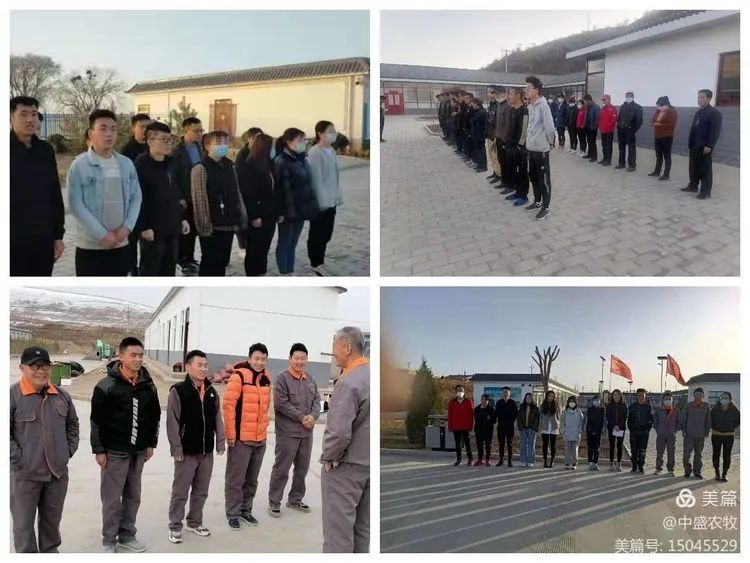 给小羊羔补硒吃什么最好(羊羔补硒的正确方法和时间)-硒宝网