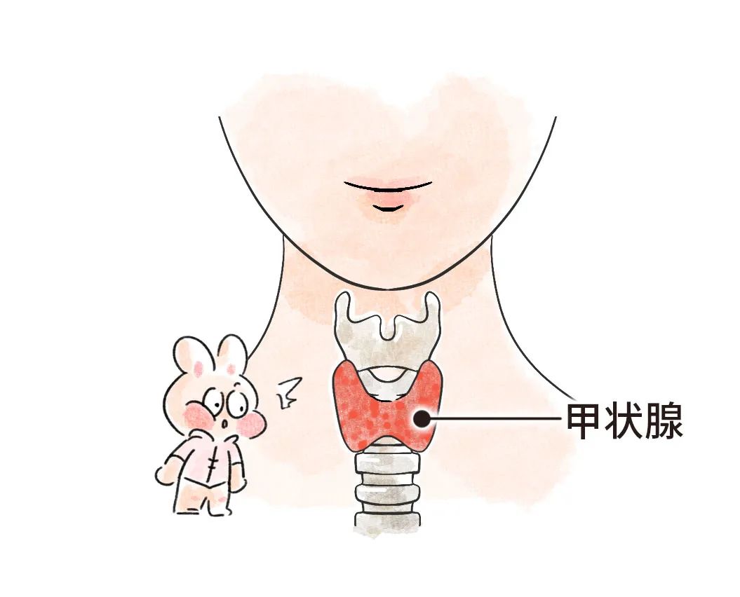 补硒可以治疗甲状腺炎吗(甲状腺炎吃硒)-硒宝网