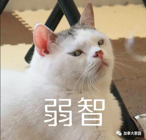 婴儿补铁排名前三牌子(婴幼儿补铁什么牌子好世界排行)-硒宝网