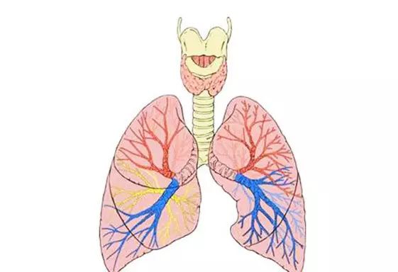 50克的硒是多少怎么补（补硒制剂）-硒宝网