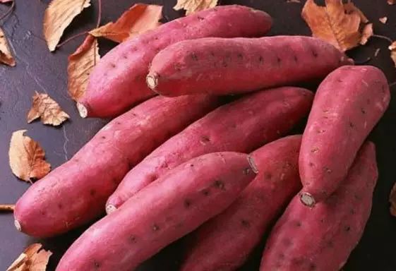 50克的硒是多少怎么补（补硒制剂）-硒宝网