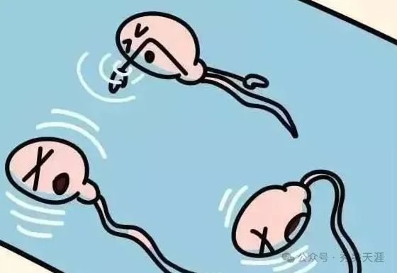 男士备孕补锌补硒的食物(男士补食物备孕补锌硒有用吗)-硒宝网