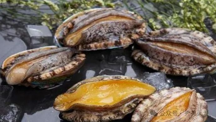 男士备孕补锌补硒的食物(男士补食物备孕补锌硒有用吗)-硒宝网