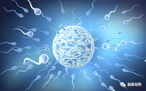 男士备孕补锌补硒的食物（男士补食物备孕补锌硒好吗）-硒宝网