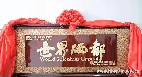 中国营养协会建议补硒量（中国营养健康补硒指南）-硒宝网