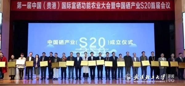 中国营养协会建议补硒量（中国营养健康补硒指南）-硒宝网