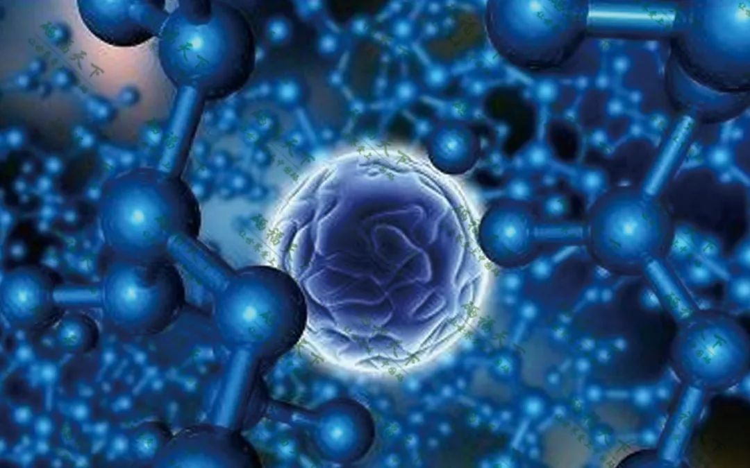 中国营养协会建议补硒量（中国营养健康补硒指南）-硒宝网