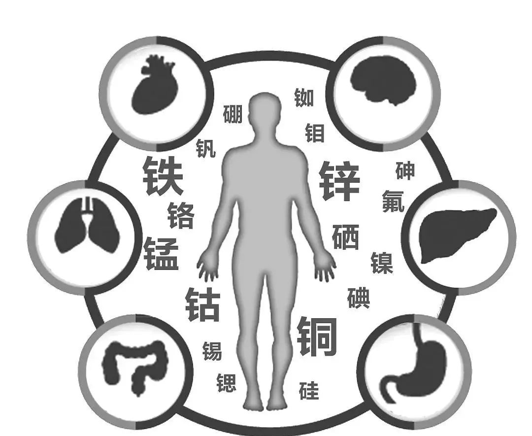 中国营养协会建议补硒量（中国营养健康补硒指南）-硒宝网