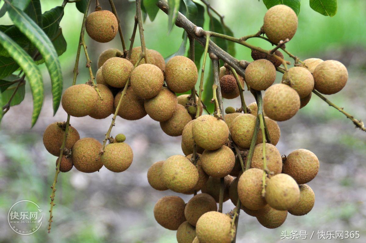 补硒产品分几代和几代吗（补硒产品哪个品牌好）-硒宝网