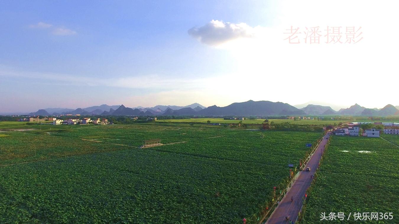 补硒产品分几代和几代吗（补硒产品哪个品牌好）-硒宝网