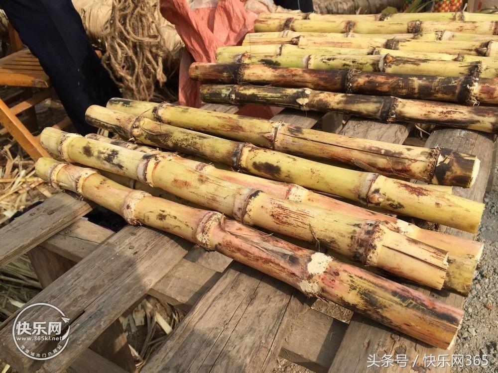 补硒产品分几代和几代吗（补硒产品哪个品牌好）-硒宝网