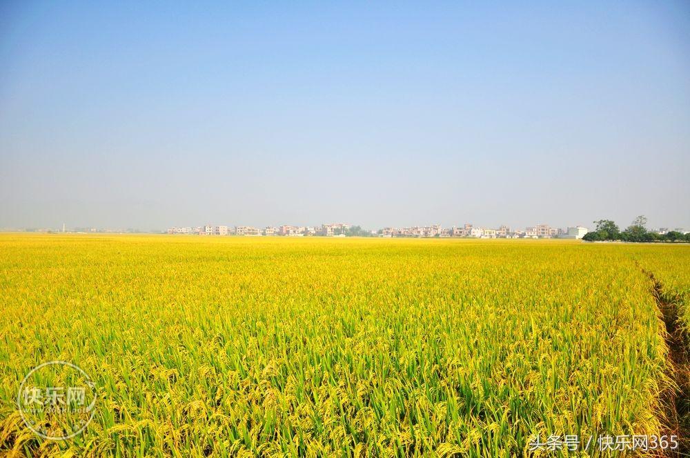 补硒产品分几代和几代吗（补硒产品哪个品牌好）-硒宝网