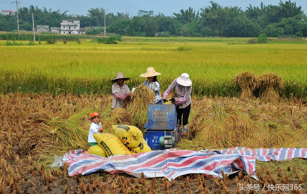 补硒产品分几代和几代吗（补硒产品哪个品牌好）-硒宝网