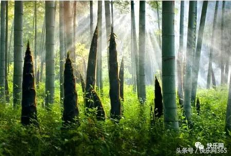 补硒产品分几代和几代吗（补硒产品哪个品牌好）-硒宝网