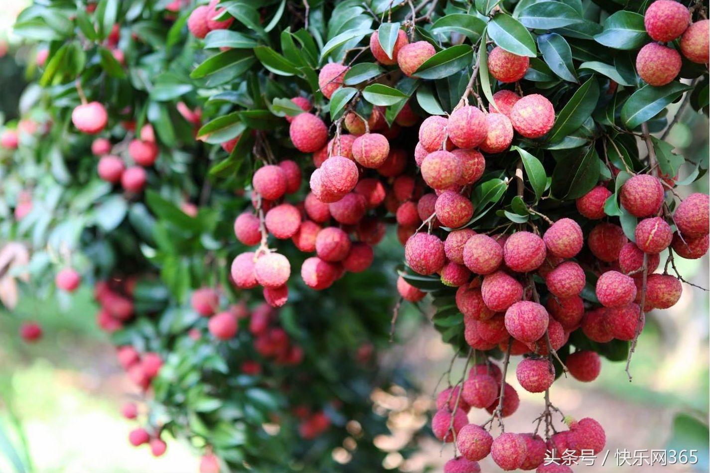 补硒产品分几代和几代吗（补硒产品哪个品牌好）-硒宝网