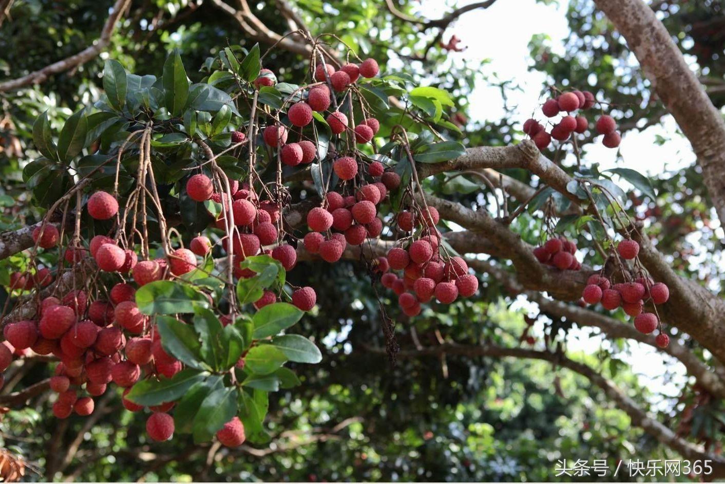 补硒产品分几代和几代吗（补硒产品哪个品牌好）-硒宝网
