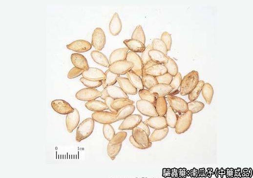 南瓜子补硒元素含量多少(南瓜富硒)-硒宝网