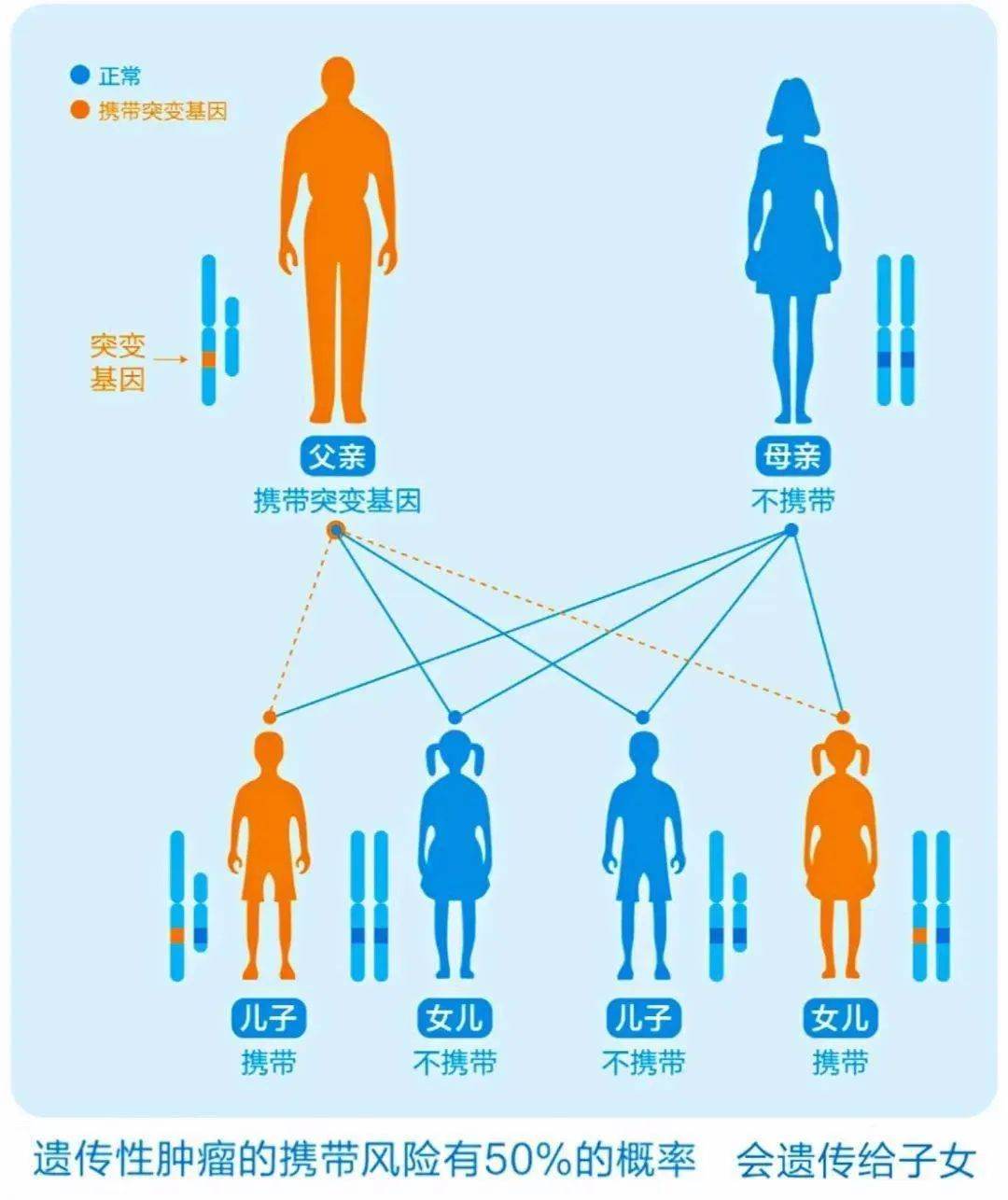 补硒能降低女性雌激素吗(雌激素能补女性降低硒元素吗)-硒宝网