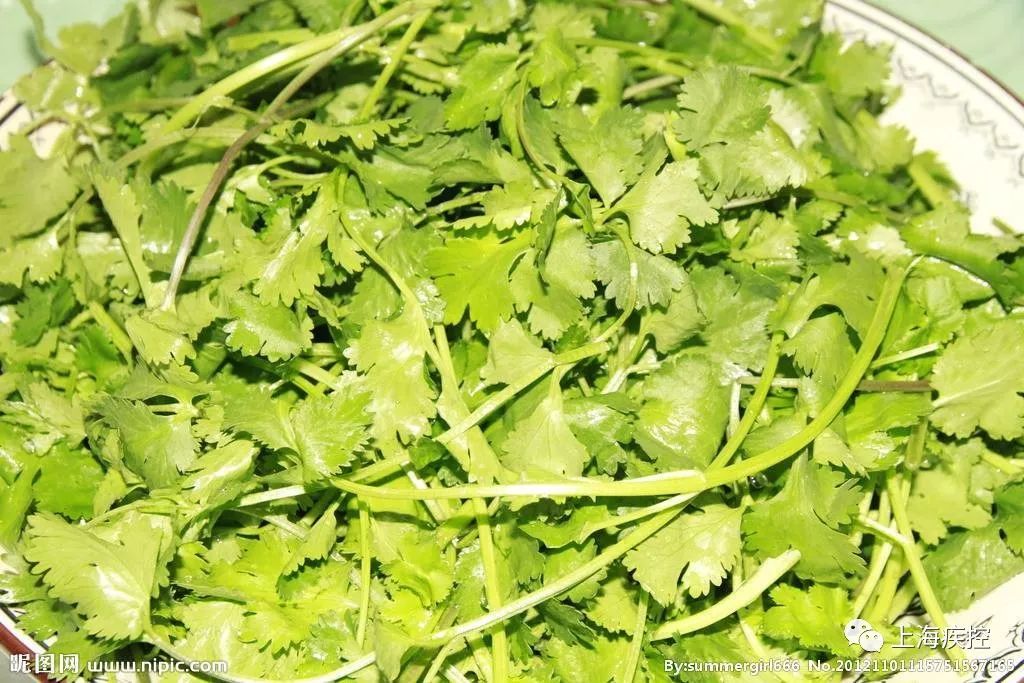 吃什么蔬菜水果可以补硒（蔬菜水果补吃硒可以补钙吗）-硒宝网