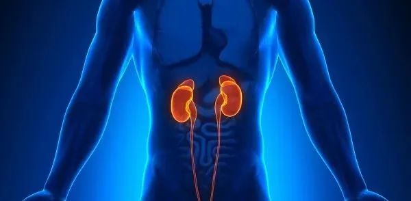 人体为什么补硒食物多呢（人体补食物硒含量多少）-硒宝网