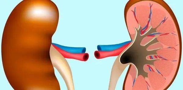 人体为什么补硒食物多呢（人体补食物硒含量多少）-硒宝网