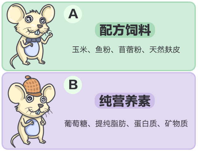 吃什么蔬菜水果可以补硒(硒可以食补吗)-硒宝网