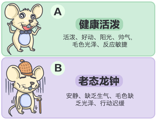 吃什么蔬菜水果可以补硒(硒可以食补吗)-硒宝网