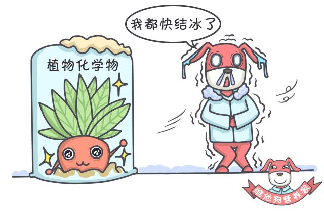 吃什么蔬菜水果可以补硒(硒可以食补吗)-硒宝网