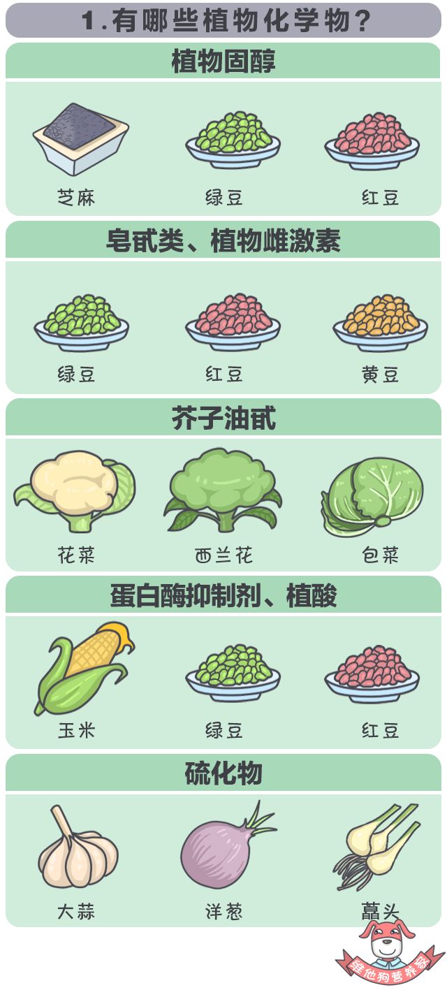 吃什么蔬菜水果可以补硒(硒可以食补吗)-硒宝网