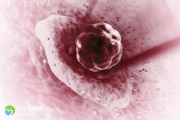 补硒可以增加卵巢功能吗(卵巢功能差可以吃维生素e吗)-硒宝网