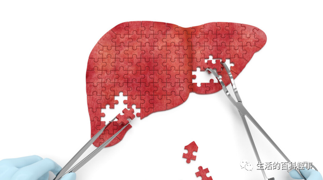 47岁可以补硒吗为什么(补硒可以提高免疫力吗)-硒宝网