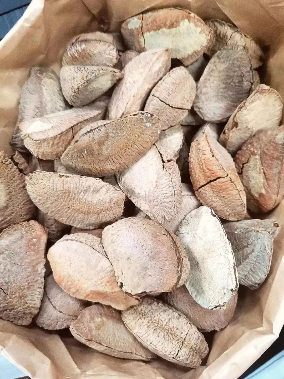 鲍鱼果补硒的好处与功效（鲍鱼果硒）-硒宝网