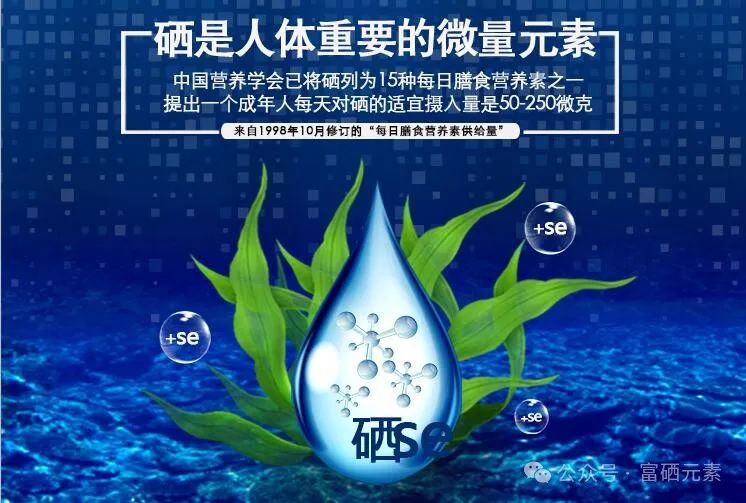 胆固醇高可以补硒元素吗(胆固醇补元素高硒可以补充吗)-硒宝网