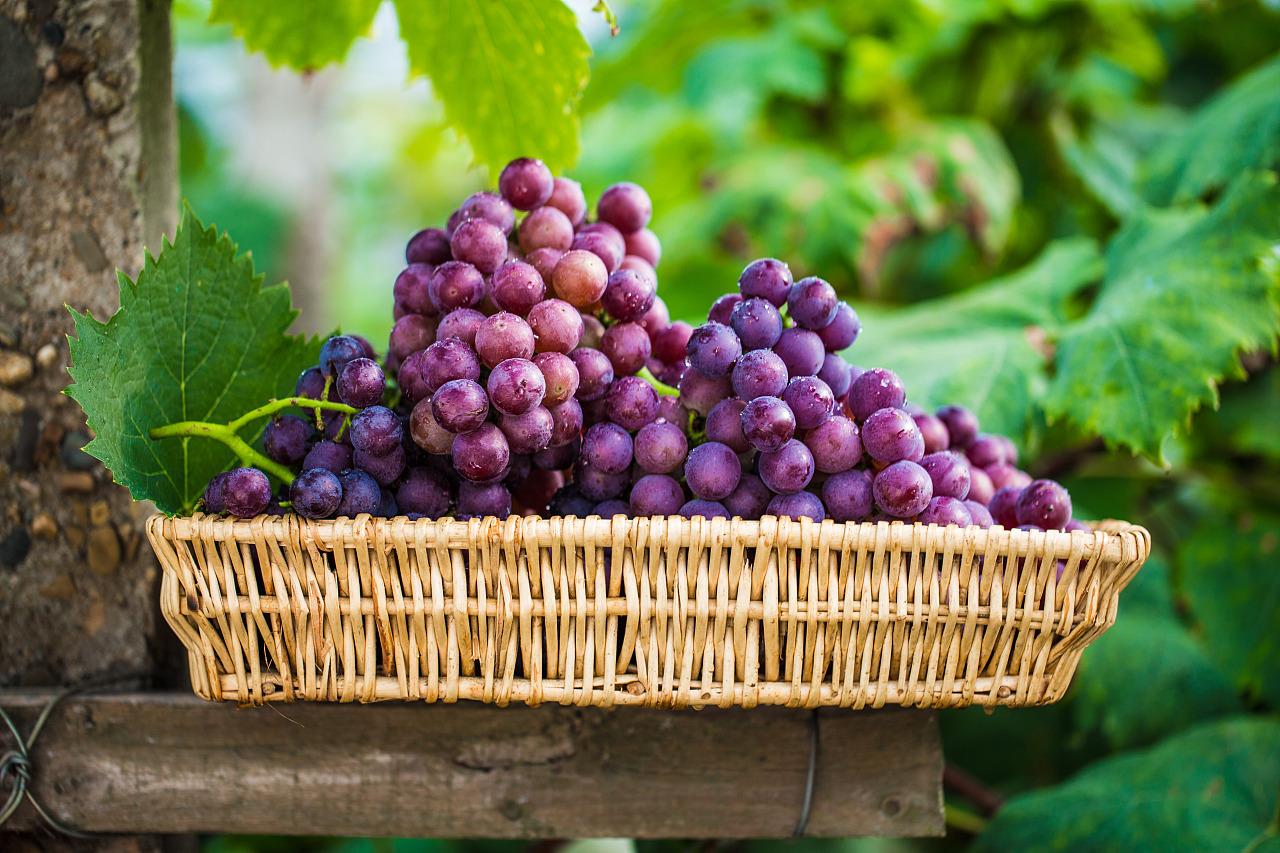 吃什么水果能补维硒元素（什么水果补硒元素）-硒宝网