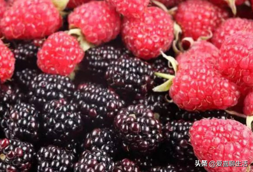 吃什么水果能补维硒元素（吃什么水果可以补硒）-硒宝网