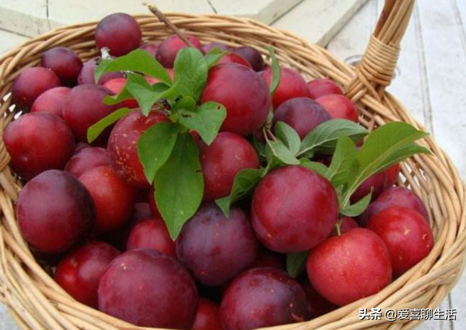 吃什么水果能补维硒元素（吃什么水果可以补硒）-硒宝网