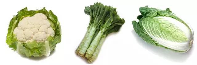 锌硒备孕期补多少毫克好(备孕吃锌硒宝有用么)-硒宝网