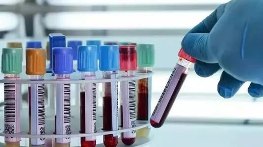 白果能补硒吗怎么吃好呢（吃白果补什么）-硒宝网