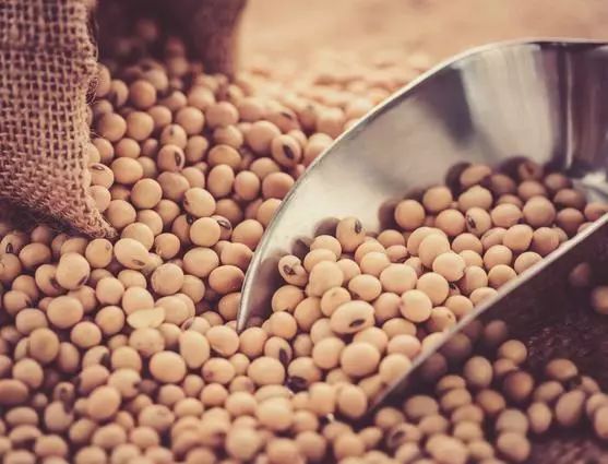 高血脂补硒的食物有哪些(补食物血脂高硒有什么好处)-硒宝网