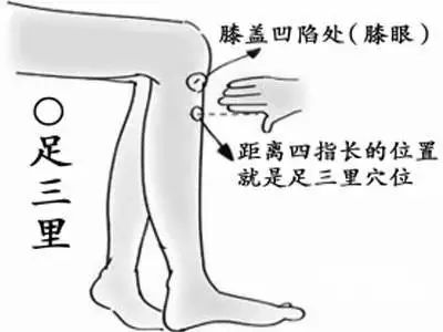 刚开始补硒老感觉想睡觉（总想睡觉是缺什么维生素）-硒宝网