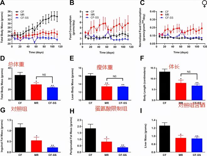 补矿物质硒会有什么好处（矿物质硒的食物）-硒宝网