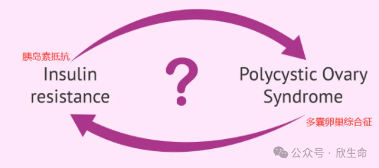 硒需要补多久调节内分泌(肾上腺素分泌调节)-硒宝网