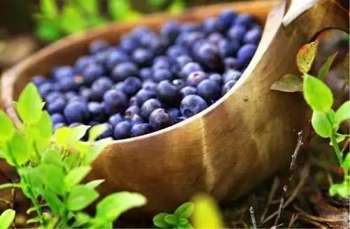 婴儿补铁排名前三牌子(婴儿补铁剂排行榜)-硒宝网