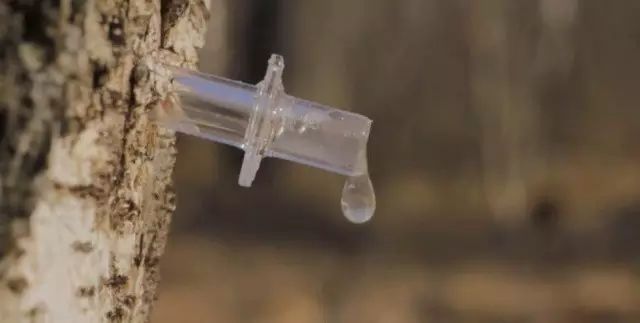 婴儿补铁排名前三牌子(婴儿补铁剂排行榜)-硒宝网