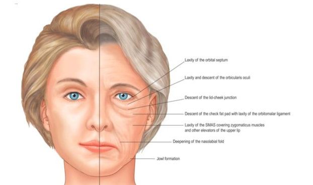 60岁女人补钙吃哪牌子(女士补钙吃哪种商品比较好)-硒宝网