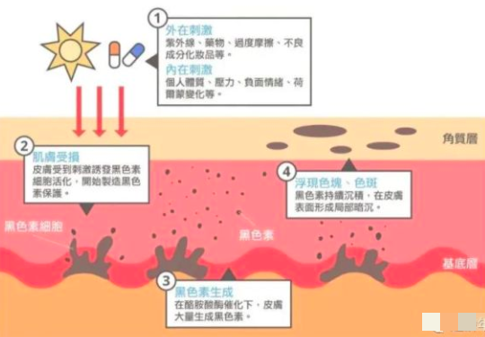 60岁女人补钙吃哪牌子(女士补钙吃哪种商品比较好)-硒宝网