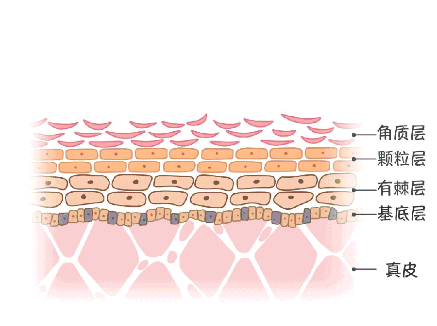 60岁女人补钙吃哪牌子(女士补钙吃哪种商品比较好)-硒宝网